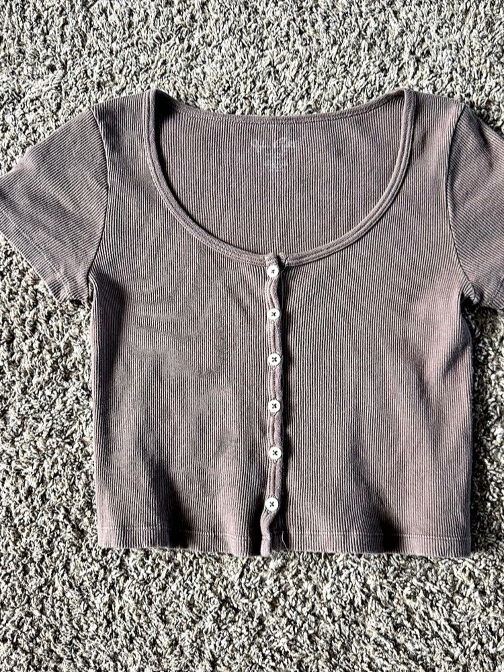 John Galt Ribbed Button-Front Short Sleeve Top in Brown